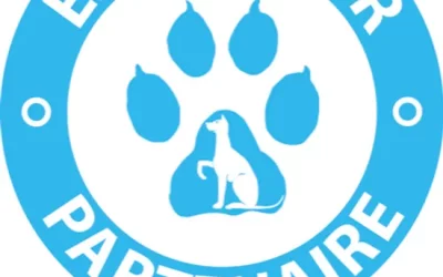 Partenariat Animalin